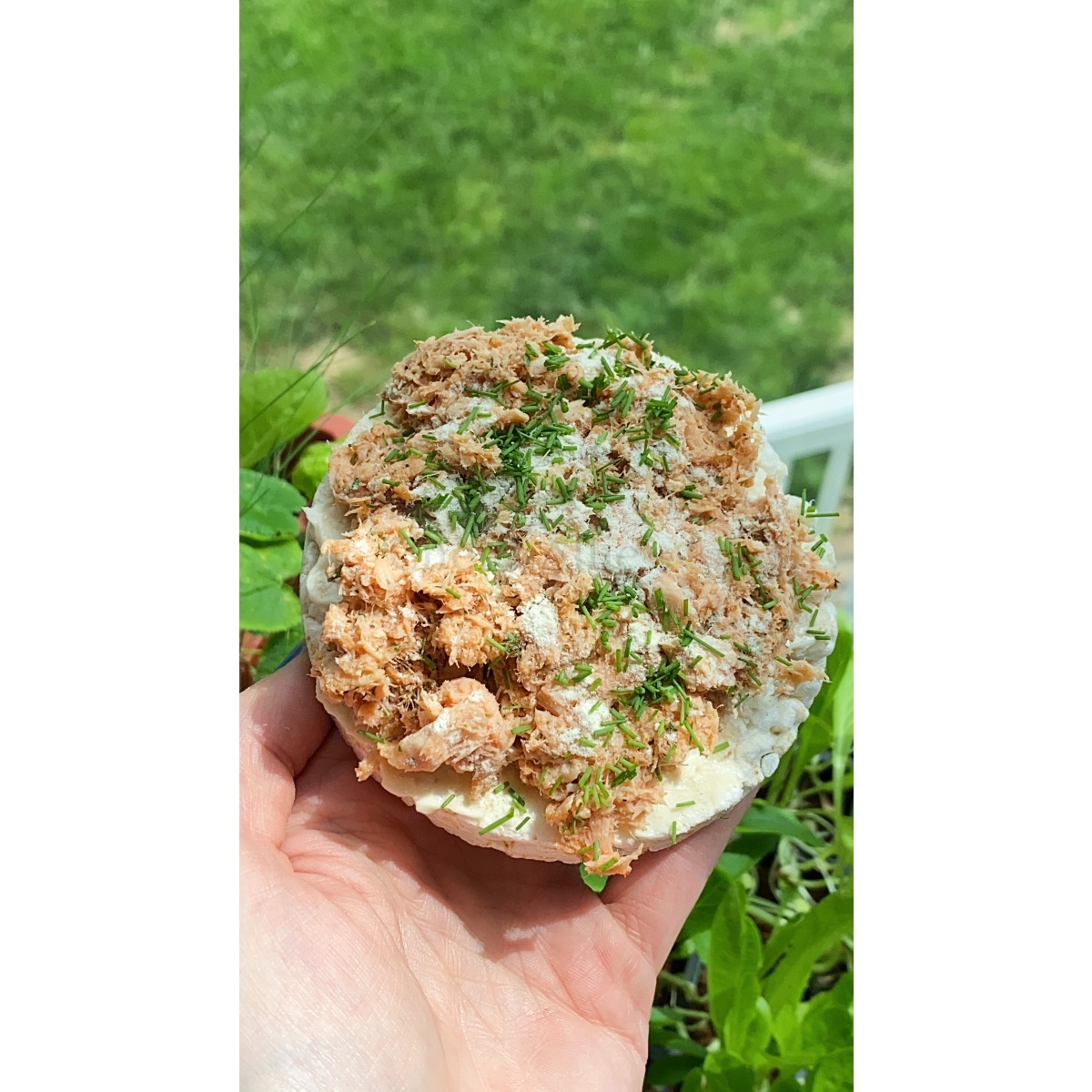 Leave a Reply Cancel reply