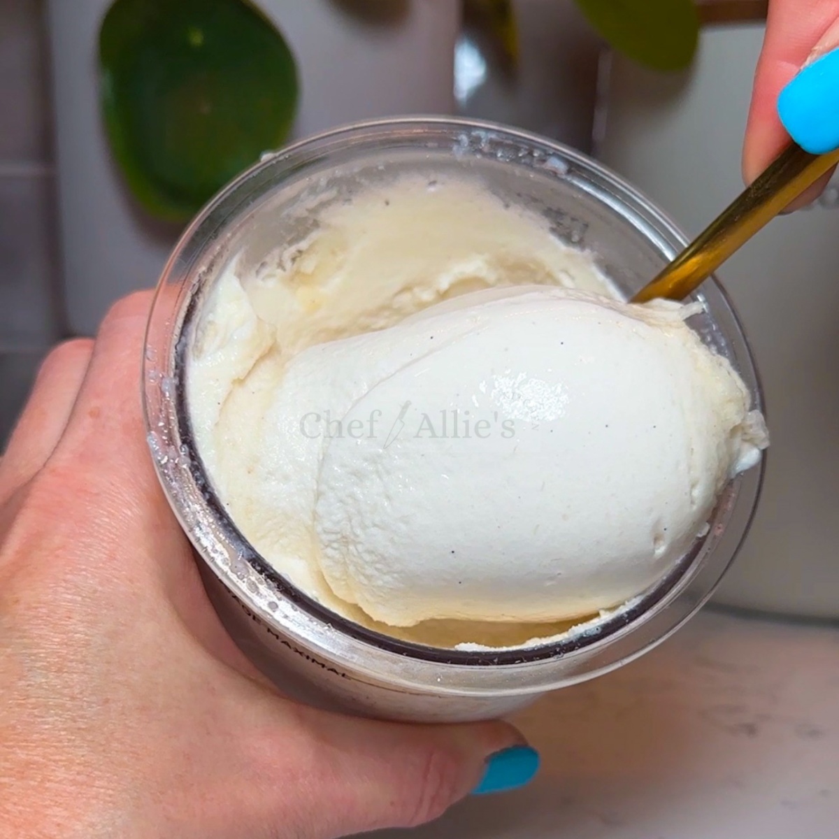 Vanilla Bean Protein Ice Cream Chef Allie's Kitchen