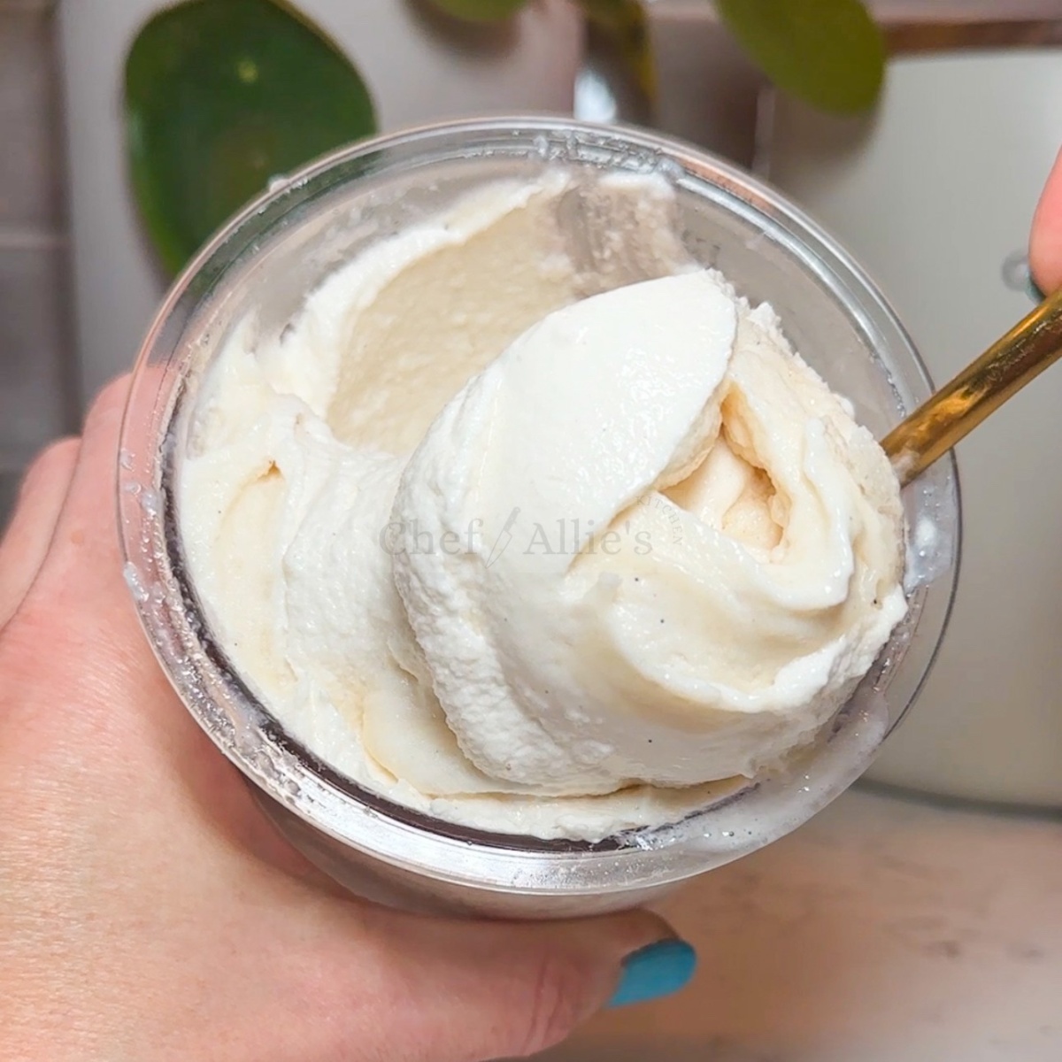 Vanilla Bean Protein Ice Cream Chef Allie's Kitchen