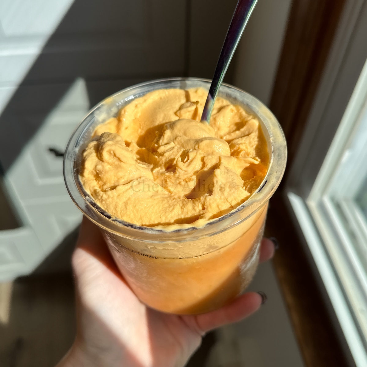 Pumpkin Protein Ice Cream Chef Allie's Kitchen